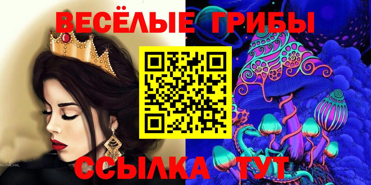 Якутск  Галлюциногенные грибы Cubensis  Галлюциногенные грибы прущие грибы  Вход с VPN 